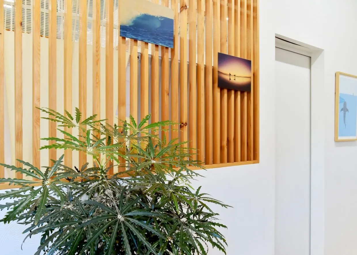 ”当整体院の理念ファンライフ(楽しい生活)”